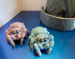 Jumping Spider Jumping Spider