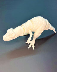 T-Rex T-Rex