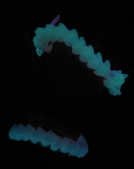 Articulated Rock Dragon